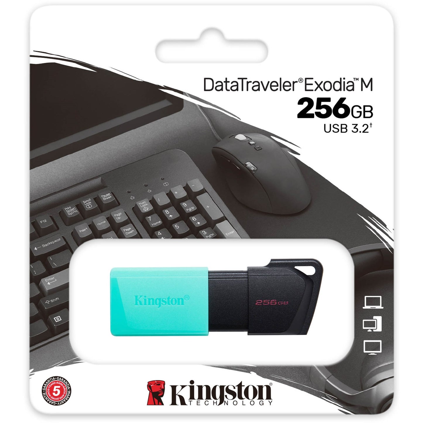 Ulkoinen USB-A 3.2 muisti Kingston DT Exodia M, 256Gb DTXM/256GB