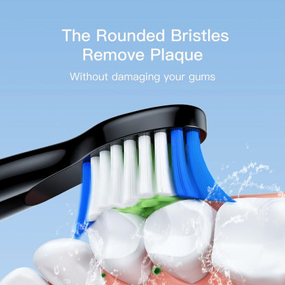 SDD2 Replacement Head for Bitvae D2 Electric Toothbrush, Set of 4, Black