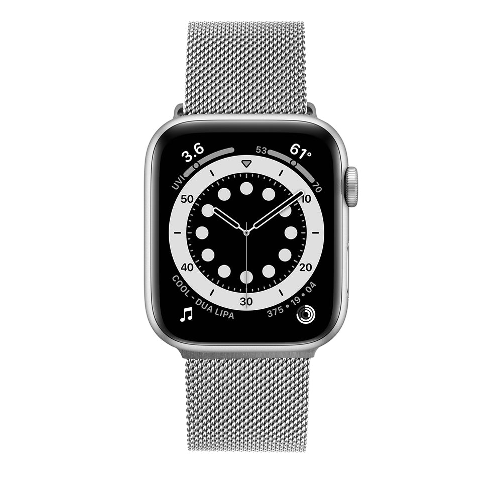 Fixed Mesh -ranneke Apple Watch 49mm / 46mm / 45mm / 44mm / 42mm -sarjoille, Hopeanvärinen