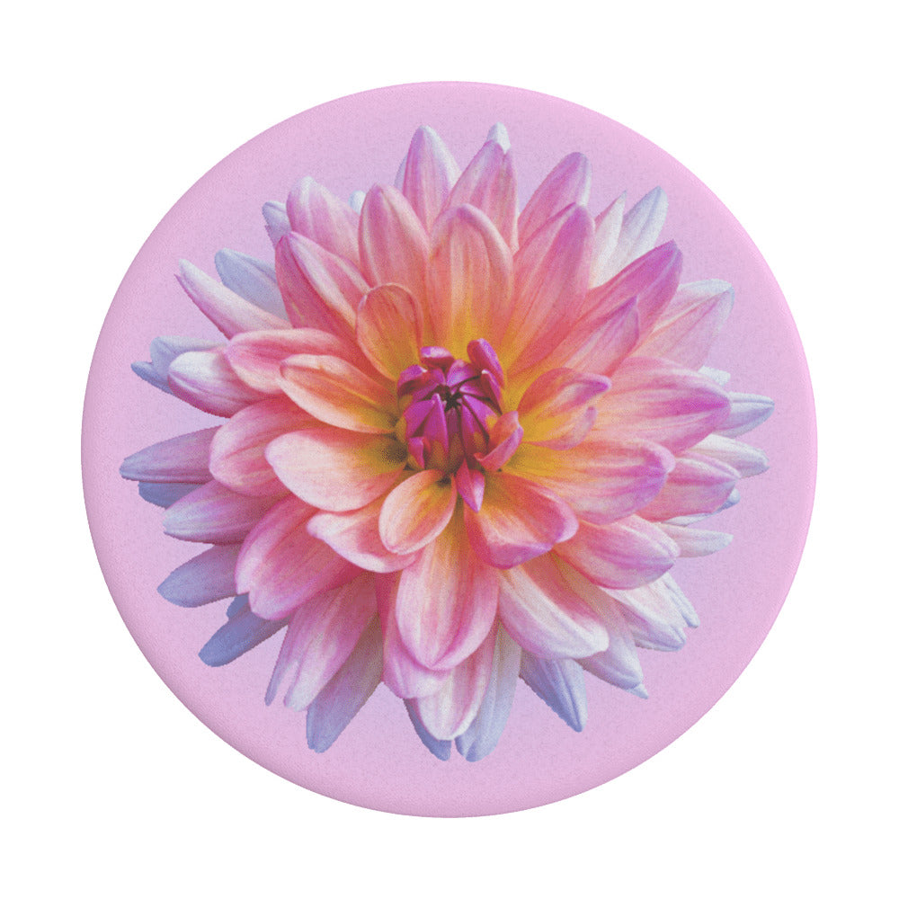 PopGrip Popsockets Dahlia Icon -teline, monivärinen