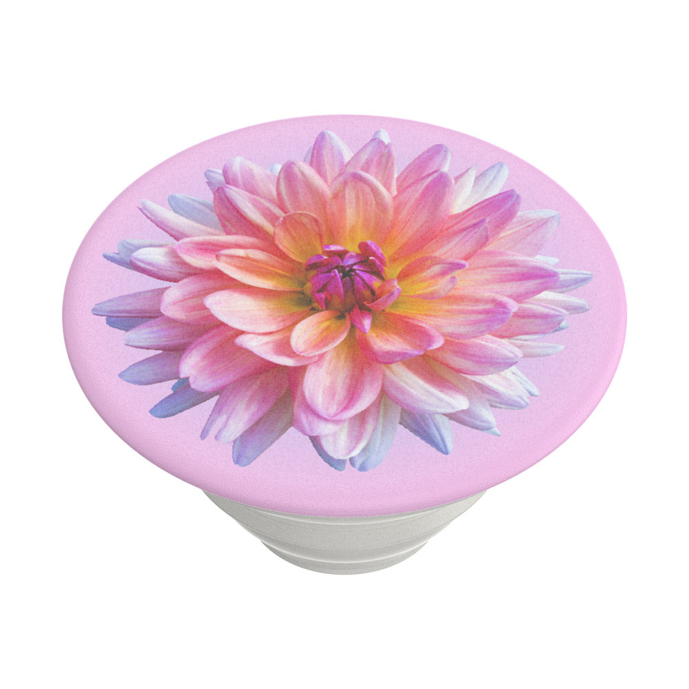 PopGrip Popsockets Dahlia Icon -teline, monivärinen